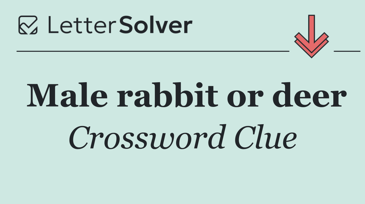 Male rabbit or deer