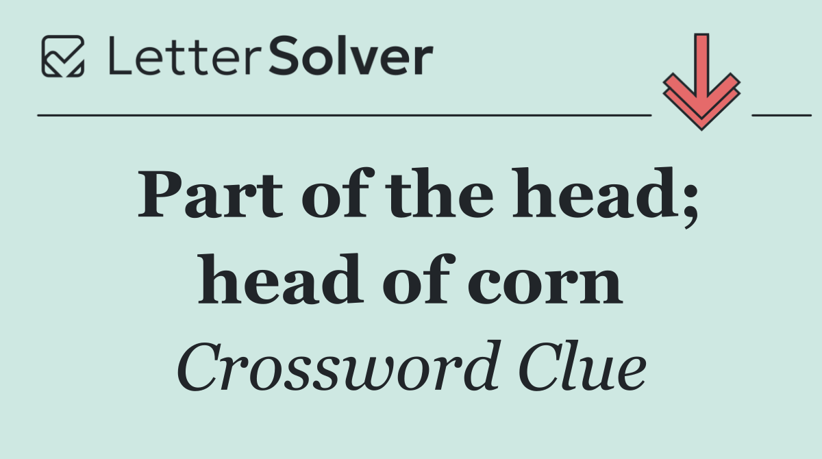Part of the head; head of corn