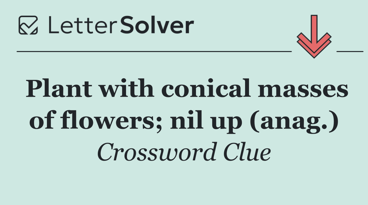 Plant with conical masses of flowers; nil up (anag.)