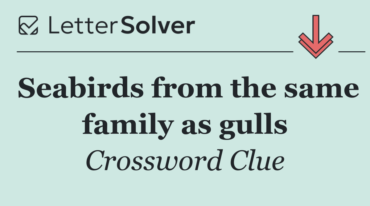 Seabirds from the same family as gulls