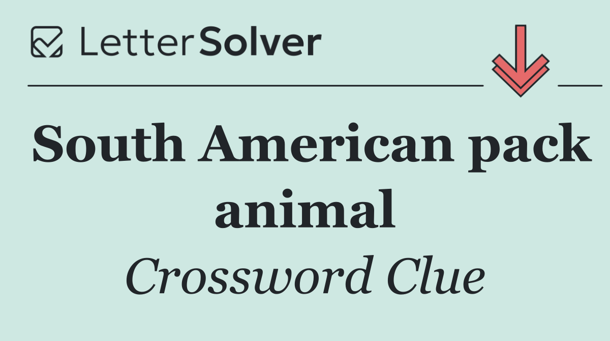 South American pack animal