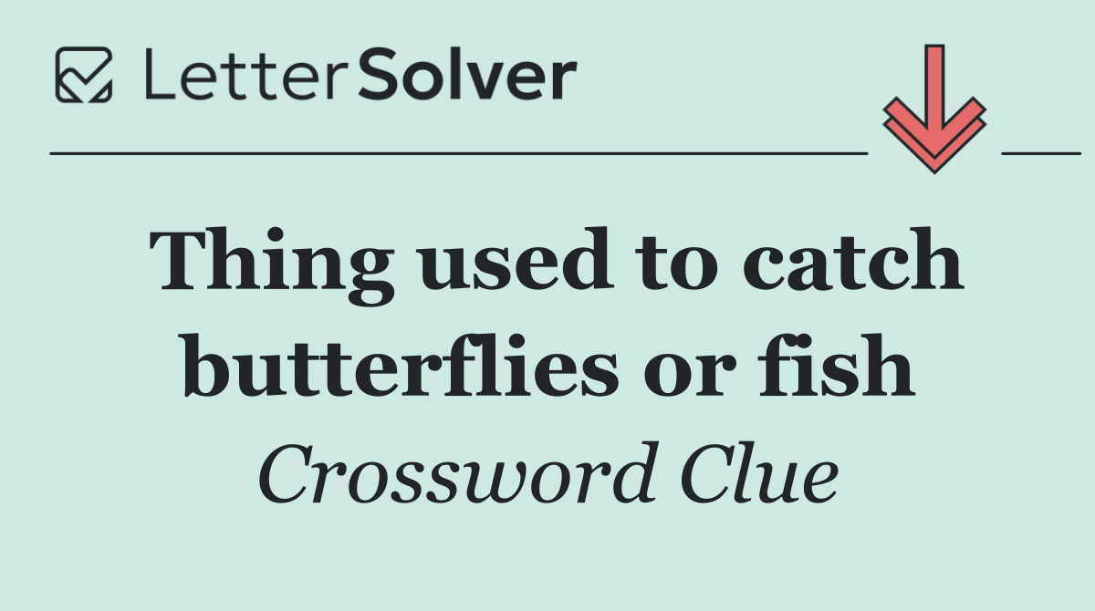 Thing used to catch butterflies or fish