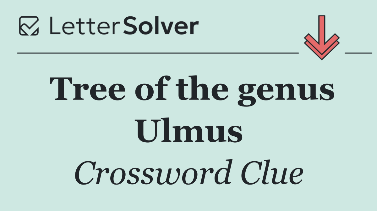Tree of the genus Ulmus
