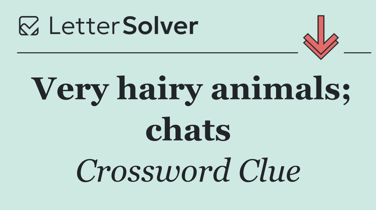 Very hairy animals; chats