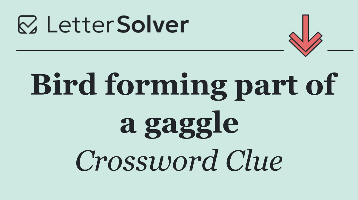 Bird forming part of a gaggle