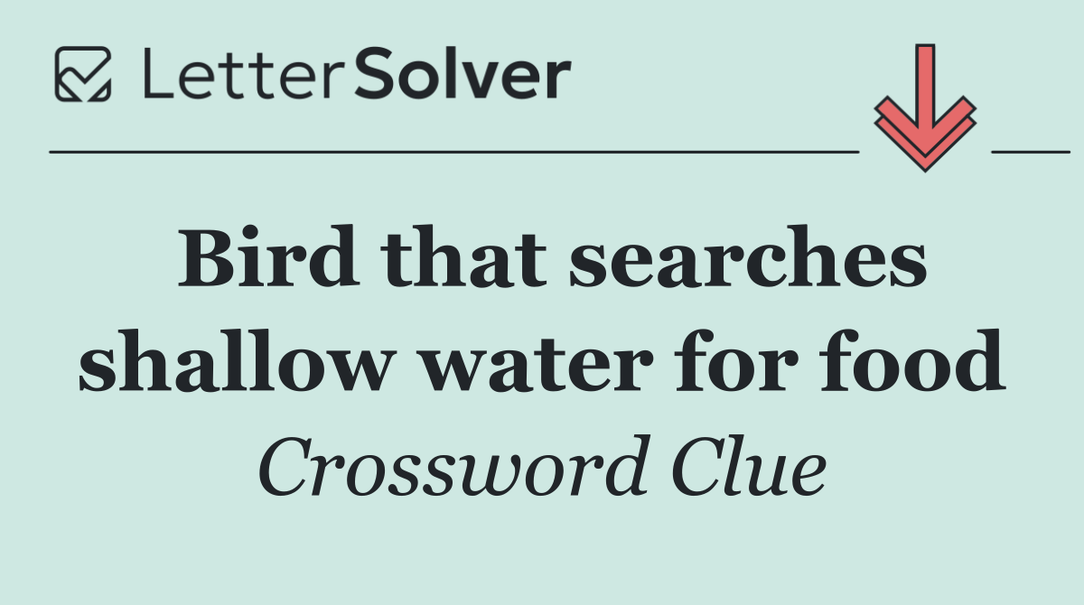 Bird that searches shallow water for food