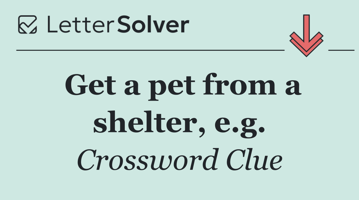 Get a pet from a shelter, e.g.