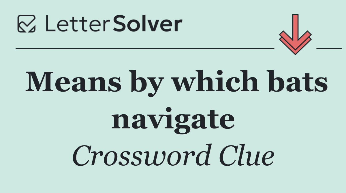 Means by which bats navigate