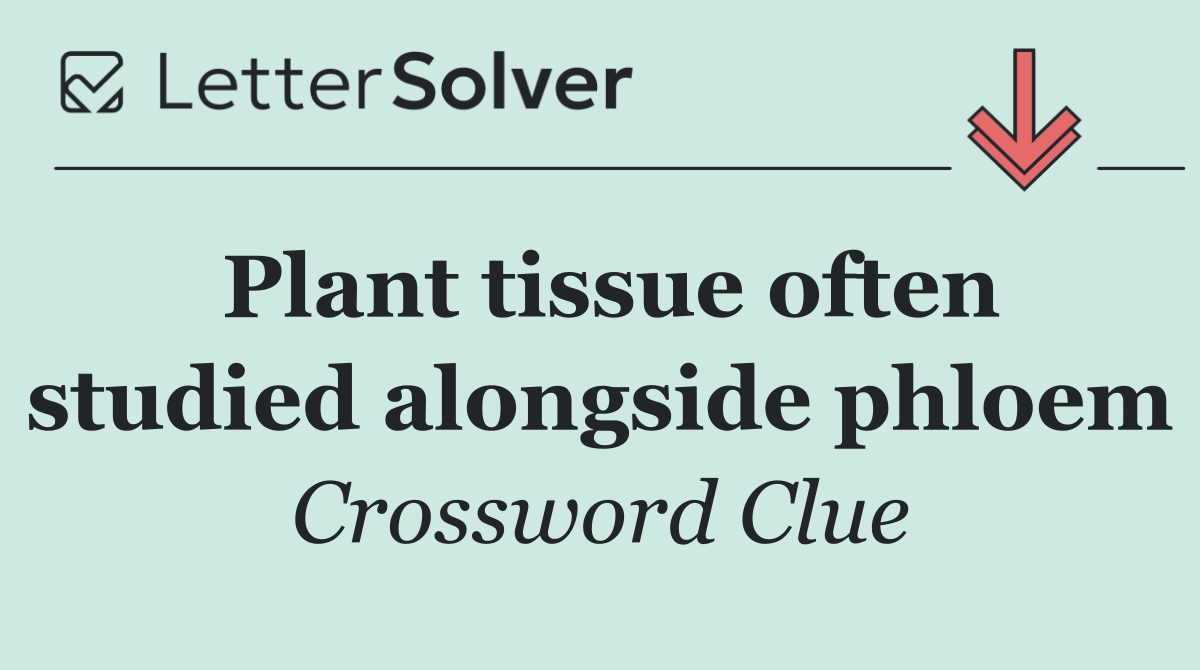 Plant tissue often studied alongside phloem
