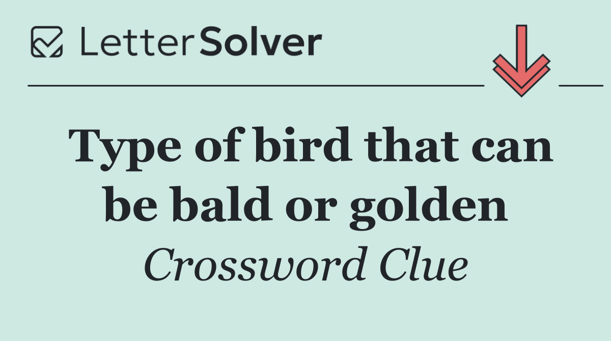 Type of bird that can be bald or golden