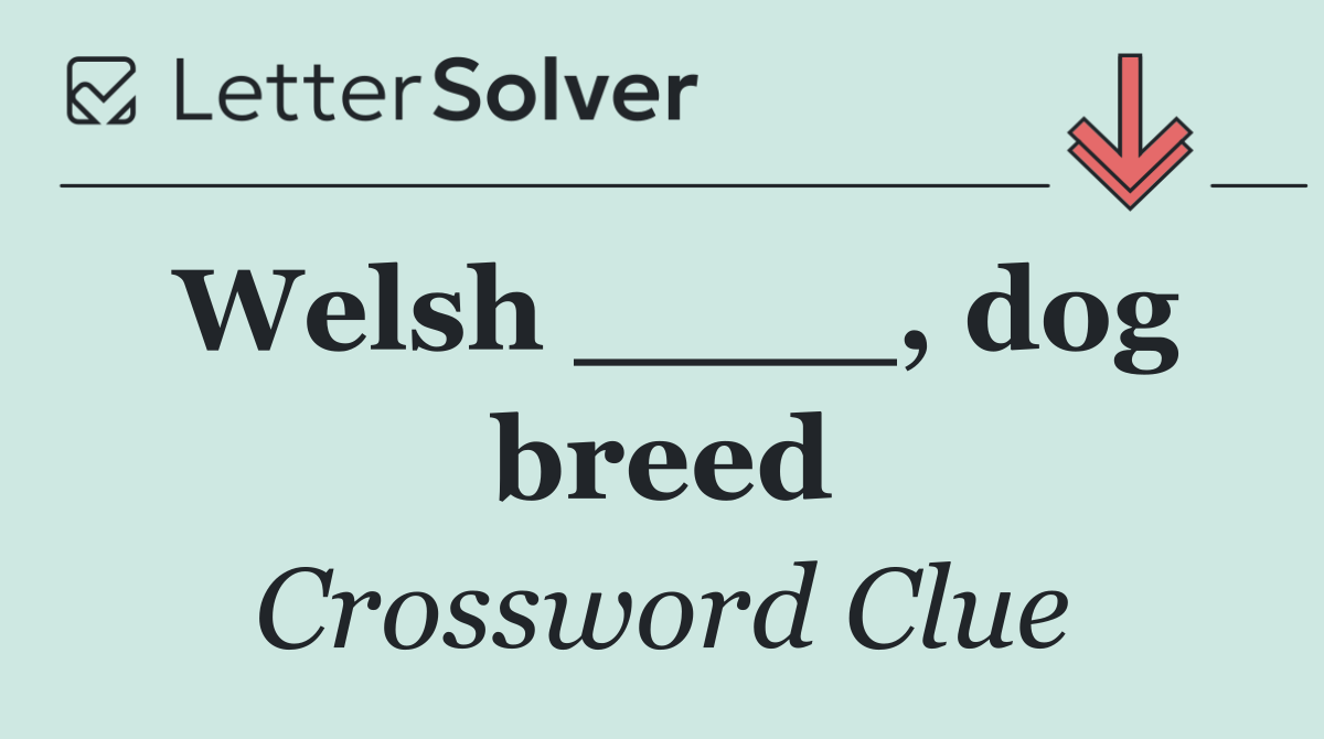 Welsh ____, dog breed