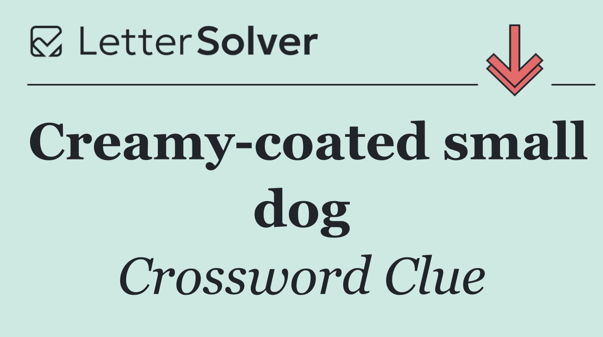 Creamy coated small dog