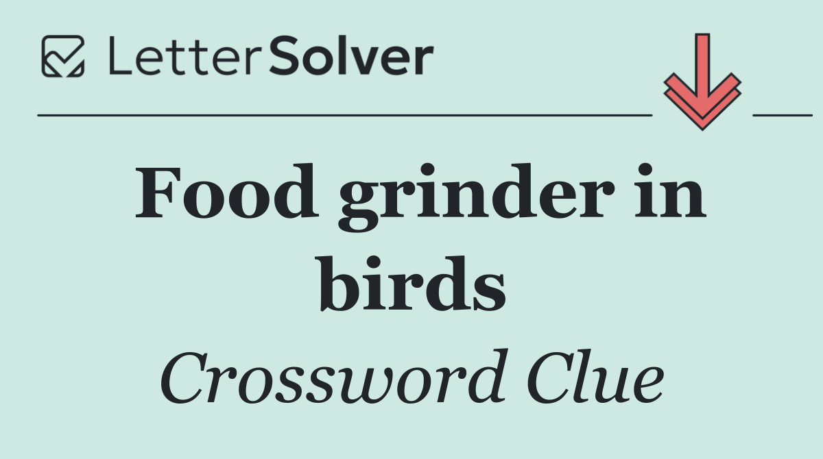 Food grinder in birds