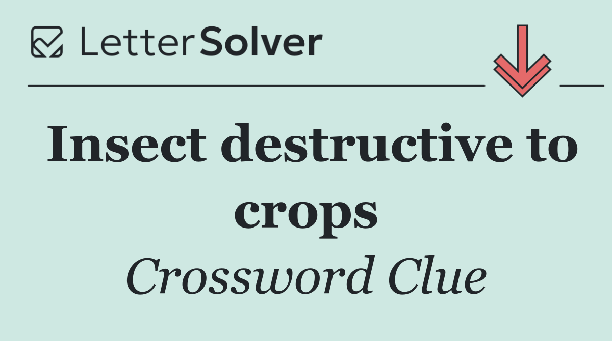 Insect destructive to crops