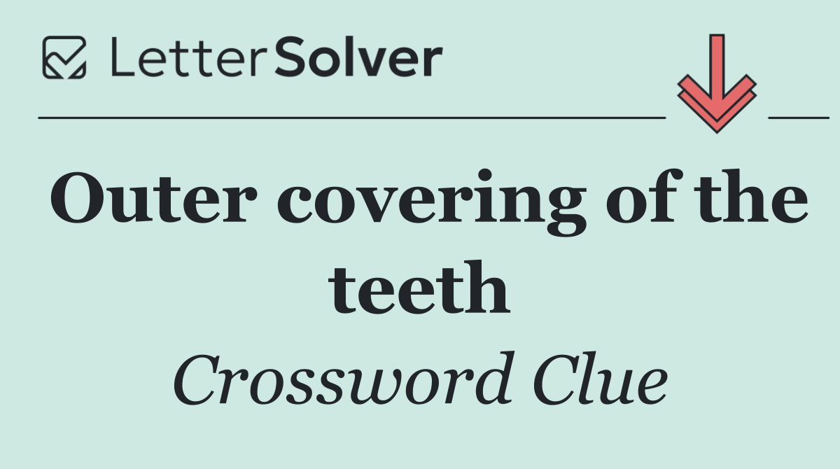 Outer covering of the teeth