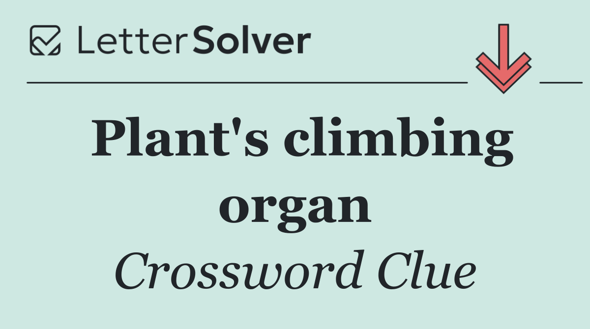 Plant's climbing organ