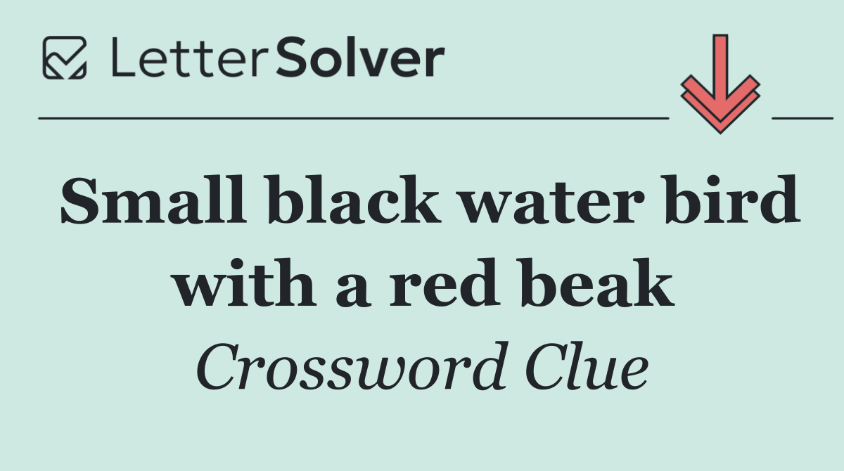 Small black water bird with a red beak