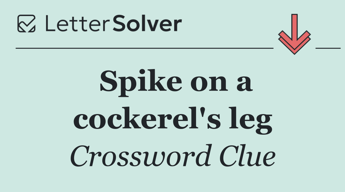 Spike on a cockerel's leg