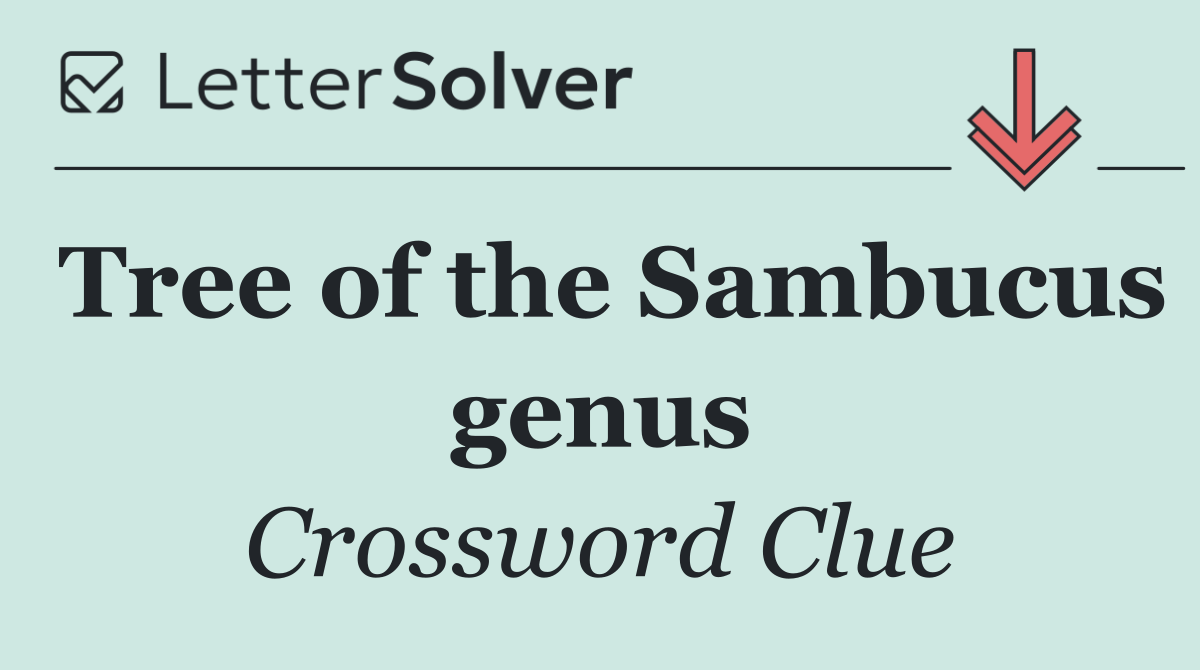 Tree of the Sambucus genus
