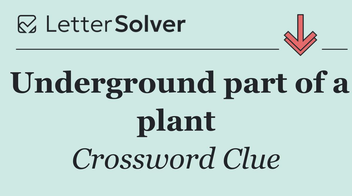 Underground part of a plant