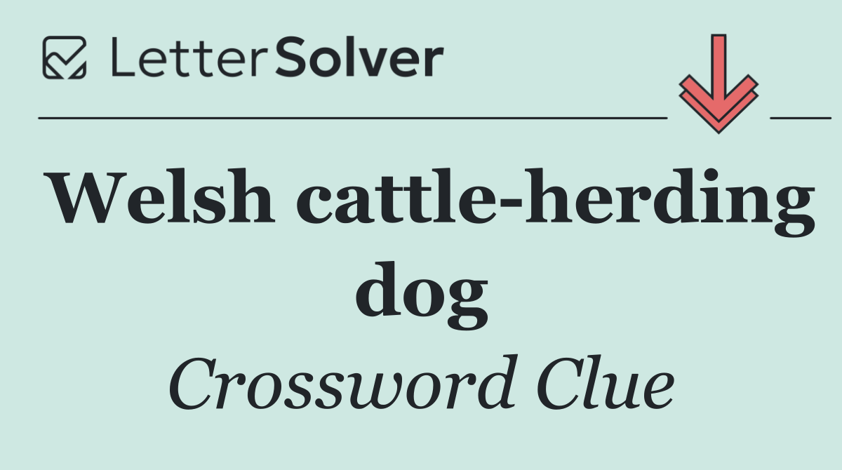 Welsh cattle herding dog