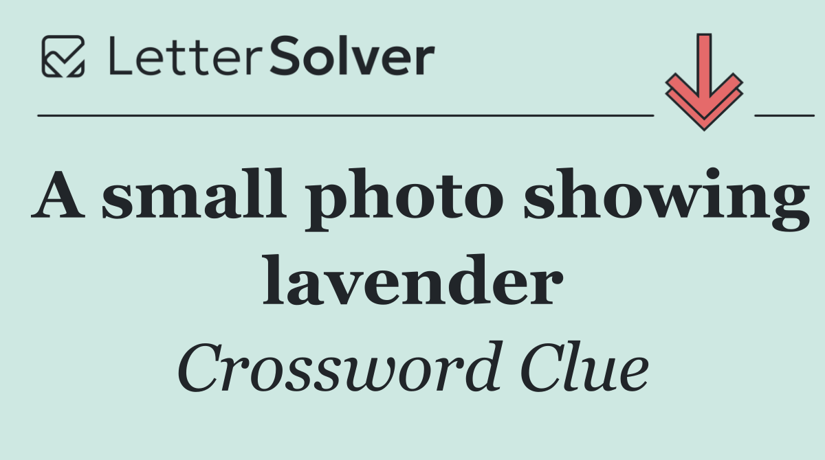 A small photo showing lavender