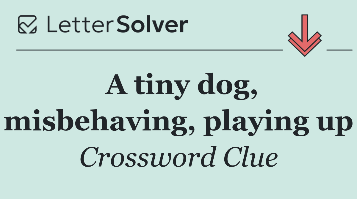 A tiny dog, misbehaving, playing up