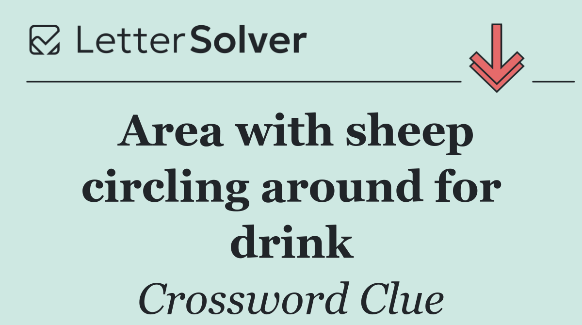 Area with sheep circling around for drink
