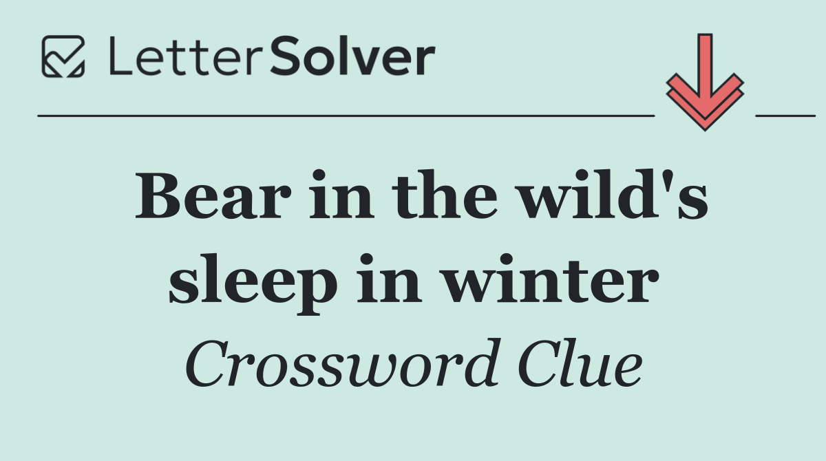 Bear in the wild's sleep in winter