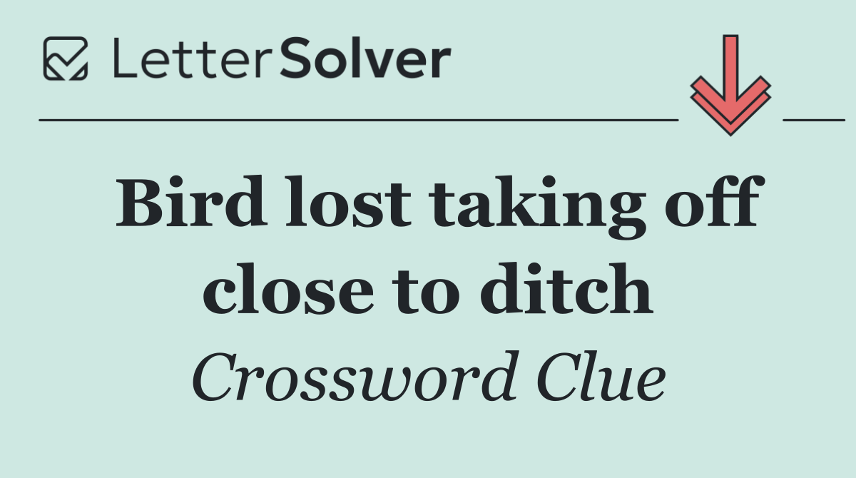 Bird lost taking off close to ditch