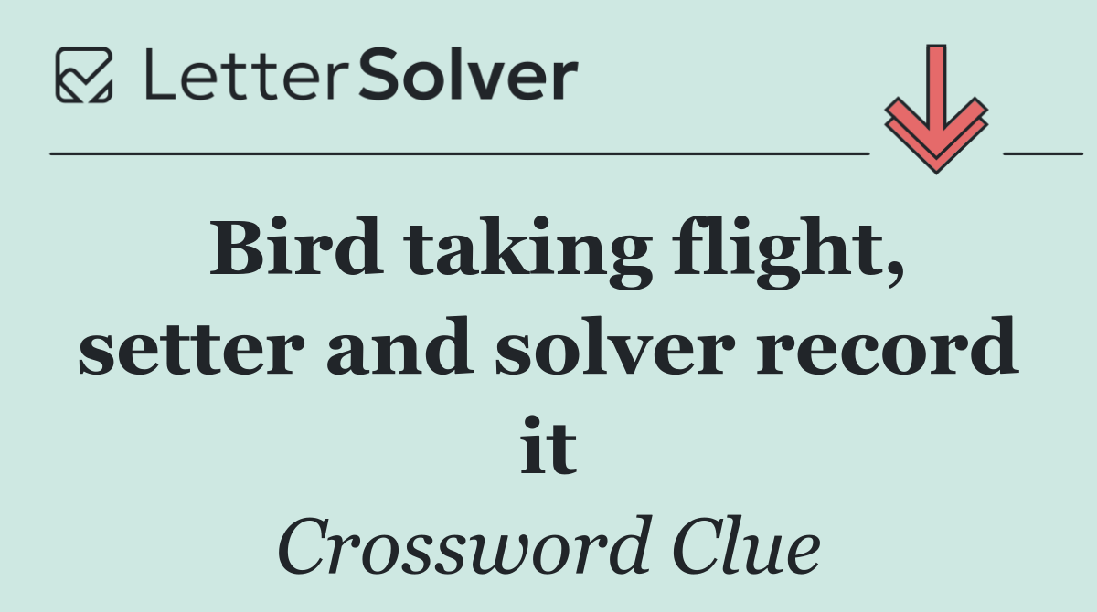 Bird taking flight, setter and solver record it