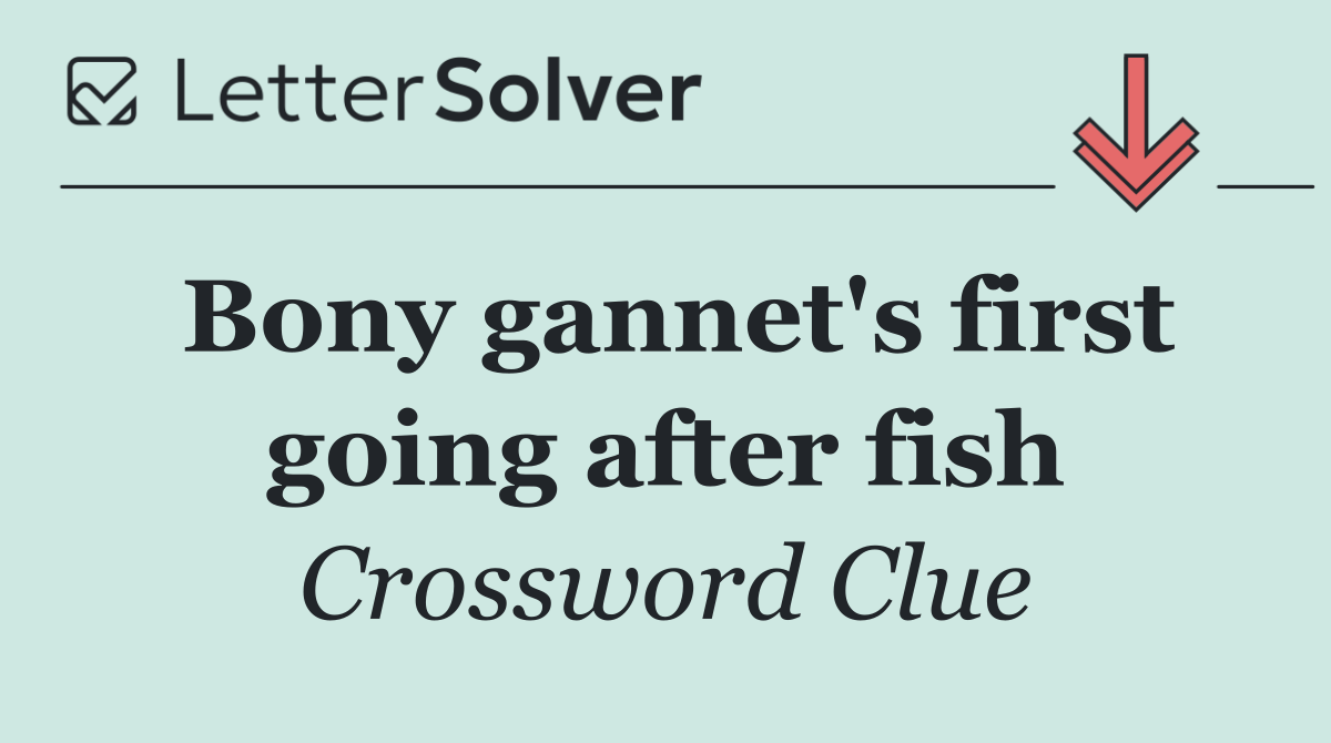 Bony gannet's first going after fish