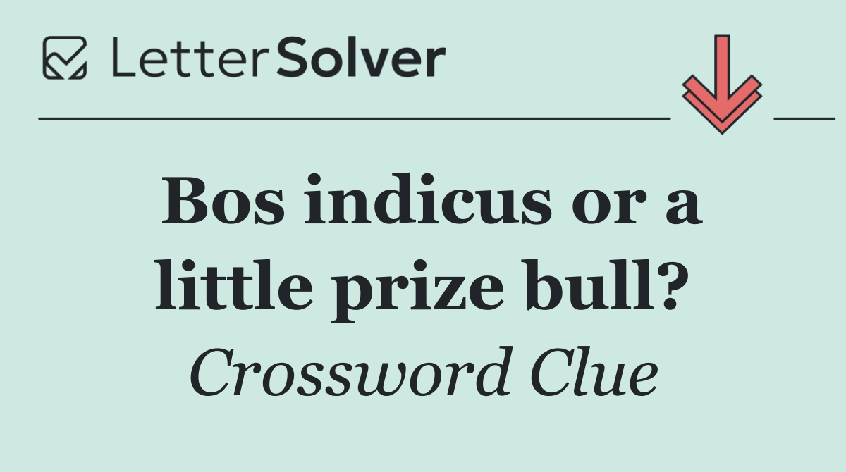Bos indicus or a little prize bull?