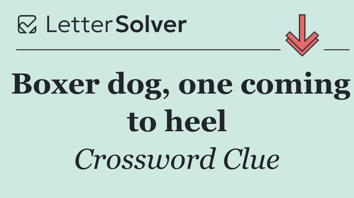 Boxer dog, one coming to heel