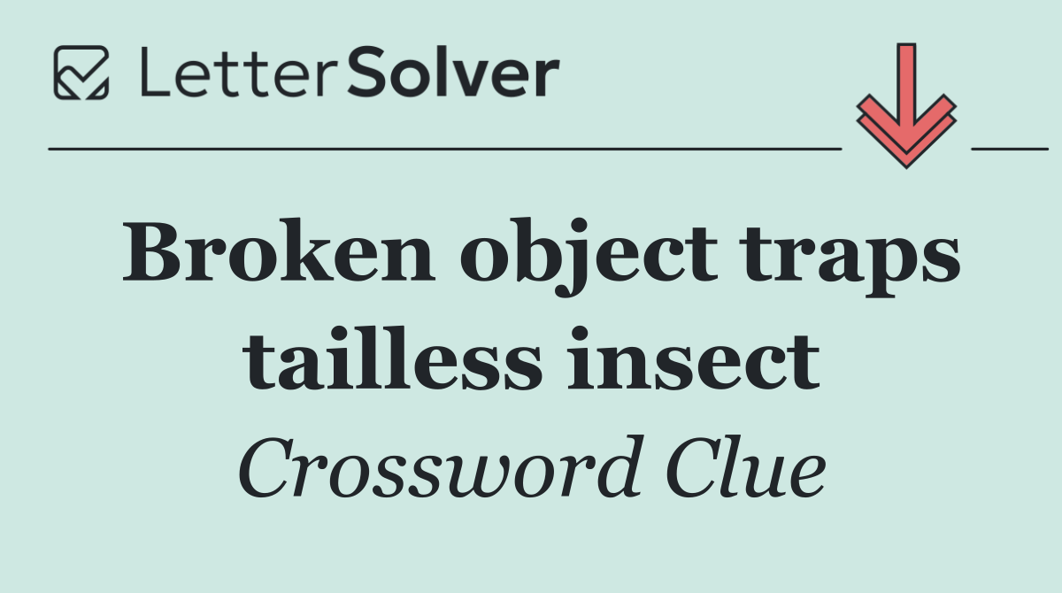 Broken object traps tailless insect