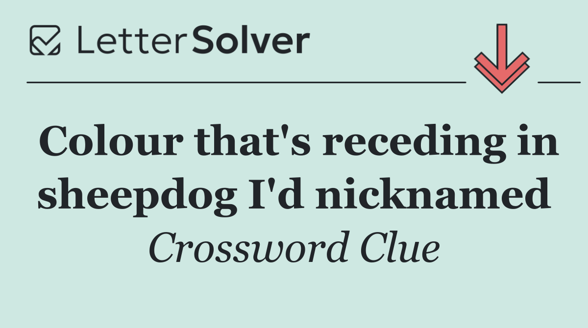 Colour that's receding in sheepdog I'd nicknamed