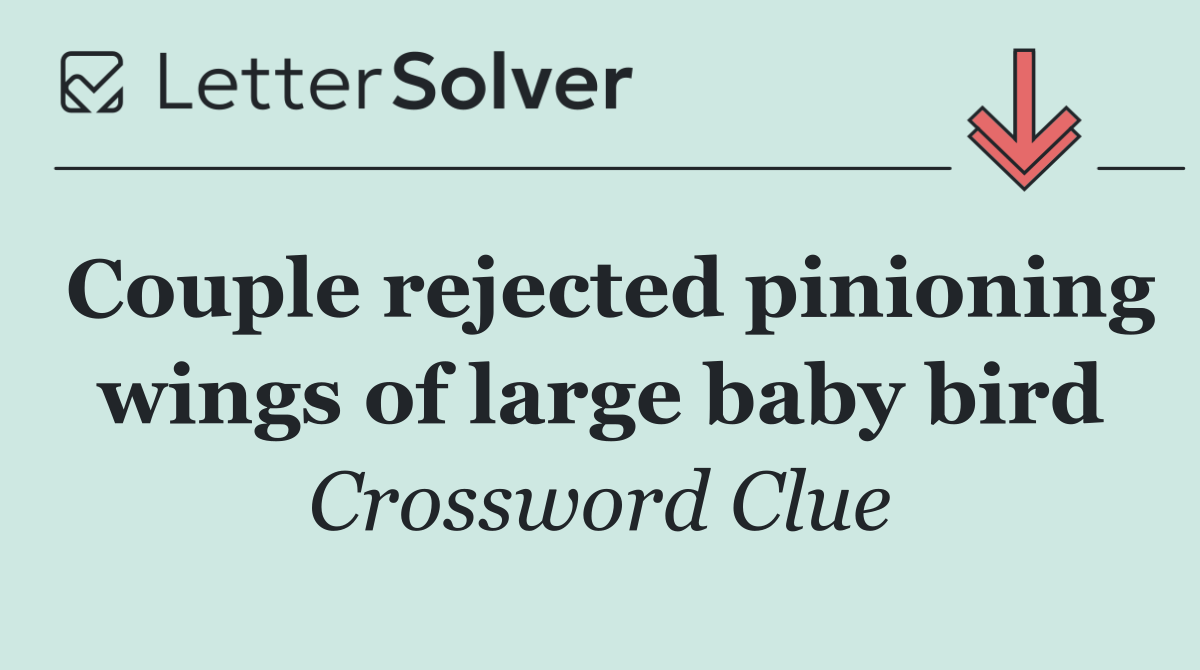 Couple rejected pinioning wings of large baby bird