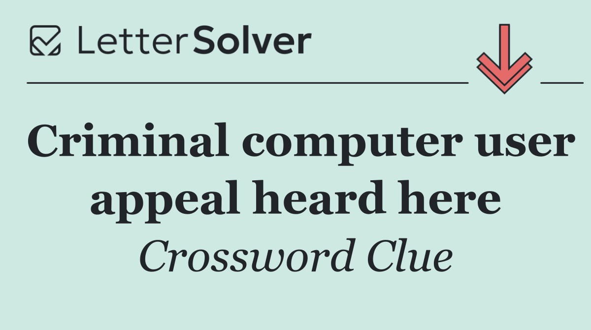 Criminal computer user appeal heard here