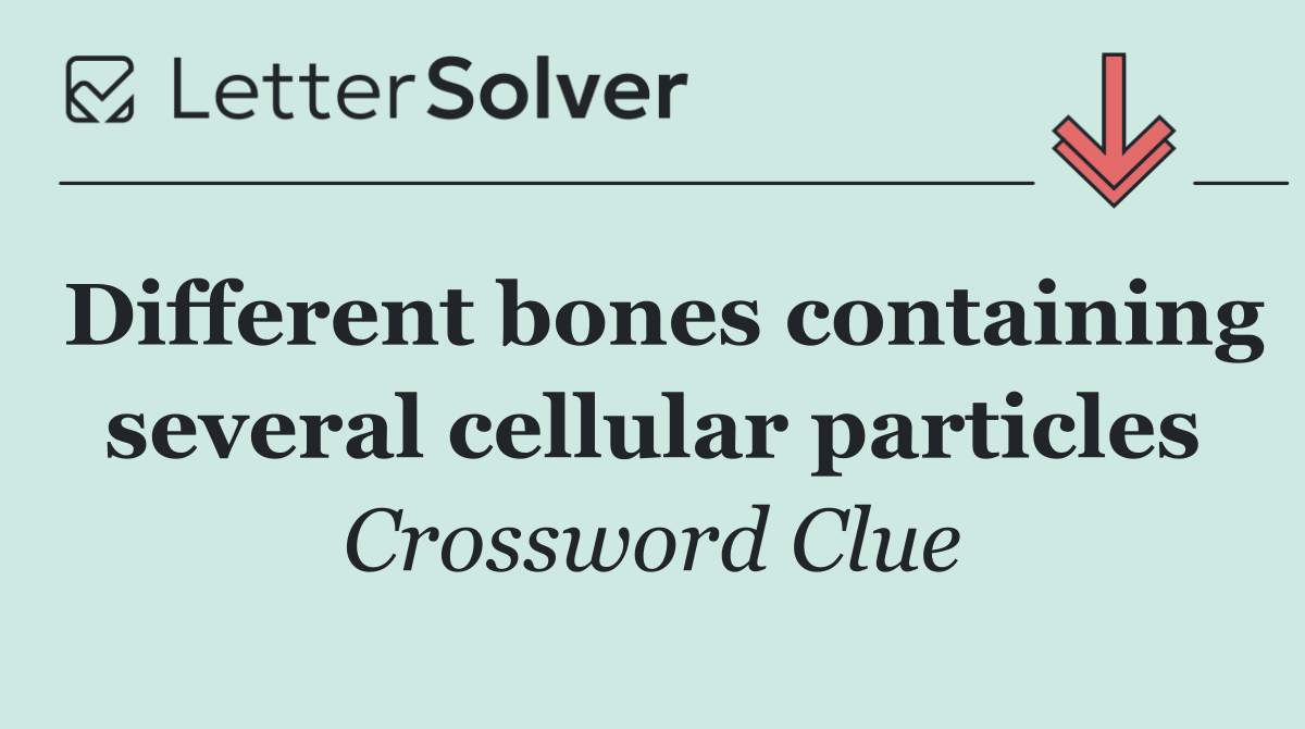Different bones containing several cellular particles