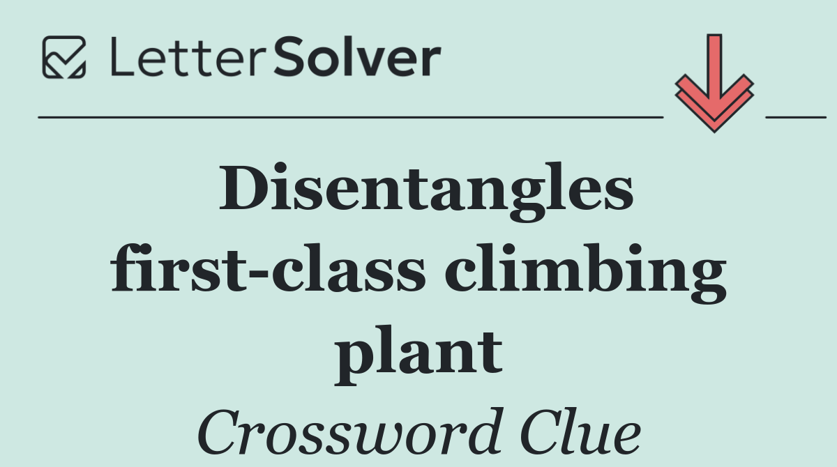 Disentangles first class climbing plant