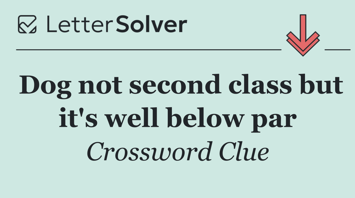 Dog not second class but it's well below par