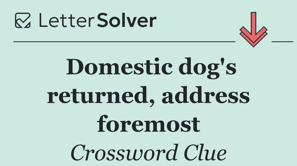 Domestic dog's returned, address foremost