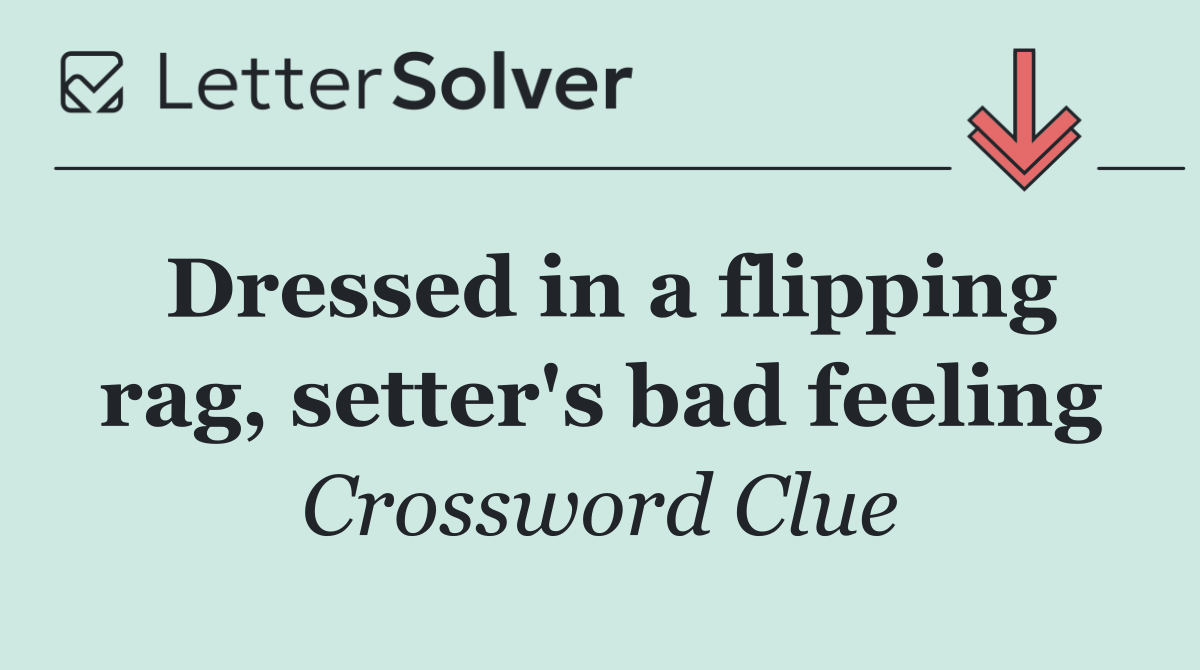 Dressed in a flipping rag, setter's bad feeling