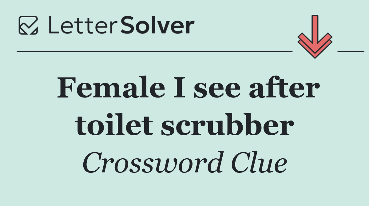 Female I see after toilet scrubber