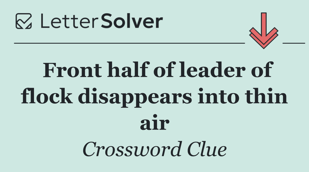 Front half of leader of flock disappears into thin air