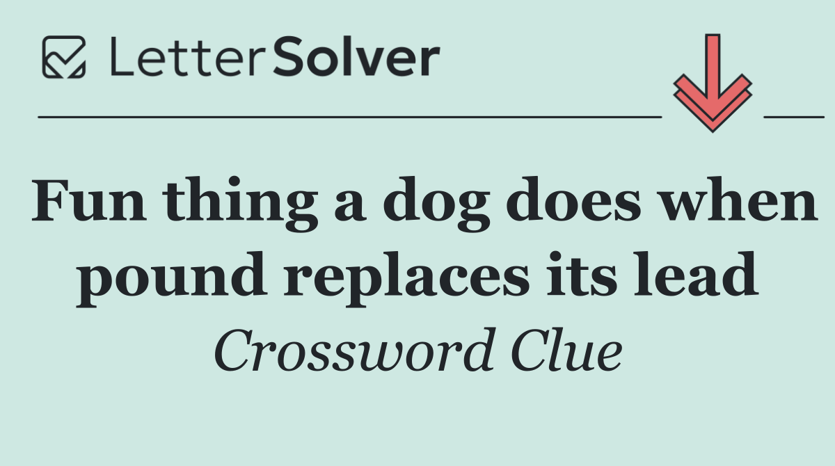 Fun thing a dog does when pound replaces its lead
