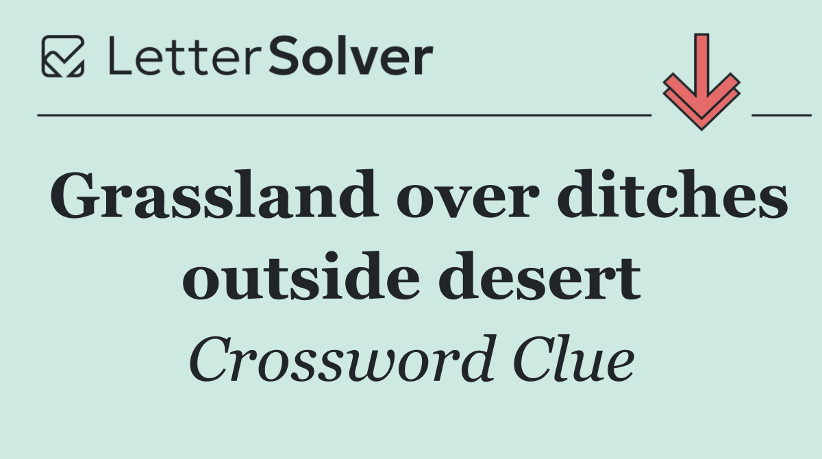Grassland over ditches outside desert