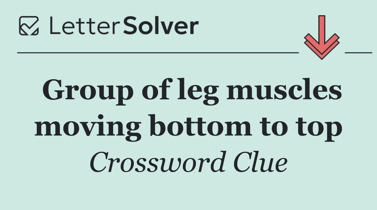 Group of leg muscles moving bottom to top