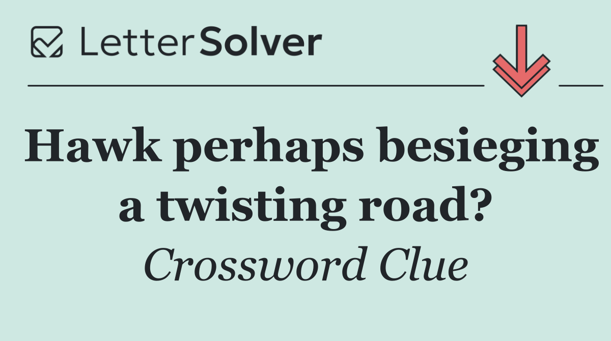 Hawk perhaps besieging a twisting road?