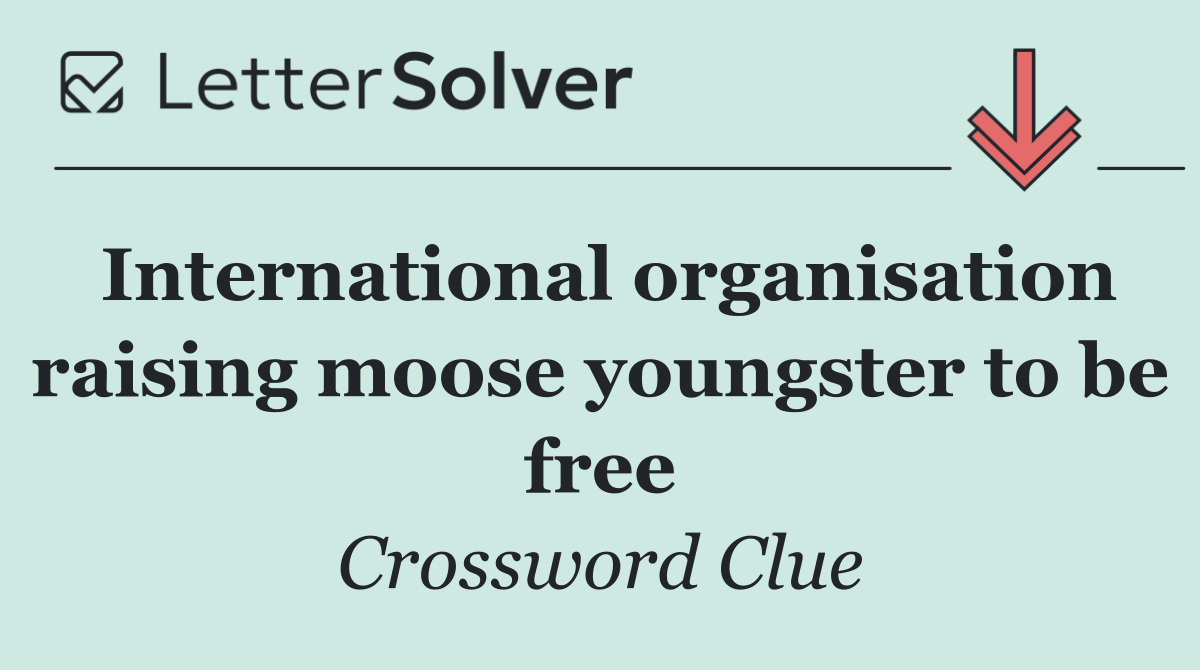 International organisation raising moose youngster to be free